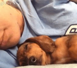 23133796765_f1c7aa9828_b