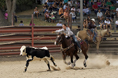 8142599351_b3e0ec35e9_m