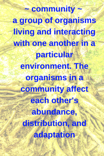community - a group of organisms orliving and interacting with one another in a particualr environment. The organisms in a community affect each other's abundance, distribution, and adaptation.png