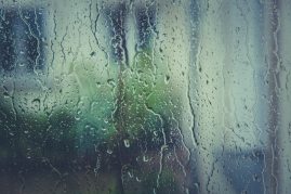 rain-raindrops-water-110874.jpg
