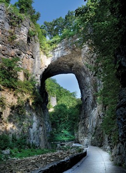 arch_JDSC3104_523-259x355